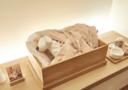 장례식 및 추모의식